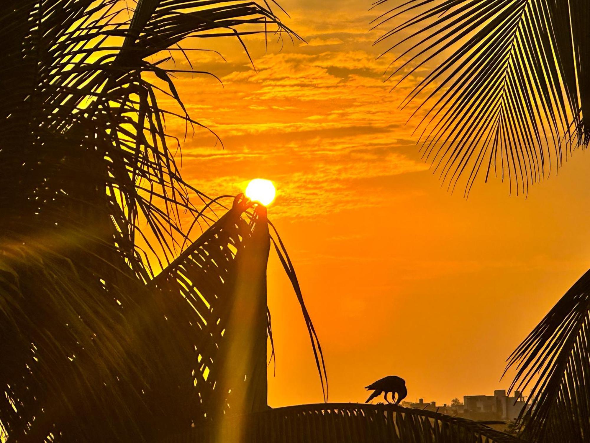 New Panda House Hotel Galle Exterior photo